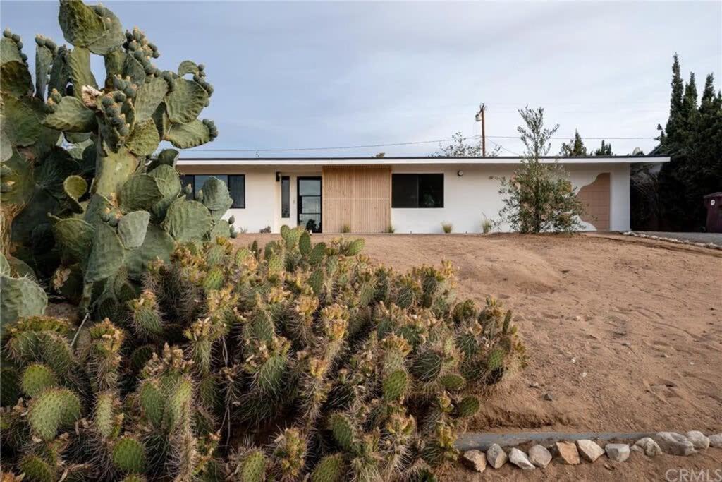 Joshua Tree - Le Tout Petit W Hot Tub Buitenkant foto